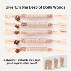 The Cat Park Silvervine Sticks catnip bags shown, boosting enrichment and playful engagement.