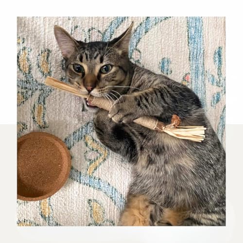 The Cat Park Silvervine Sticks close-up texture showcasing natural fibers for dental-friendly chewing.