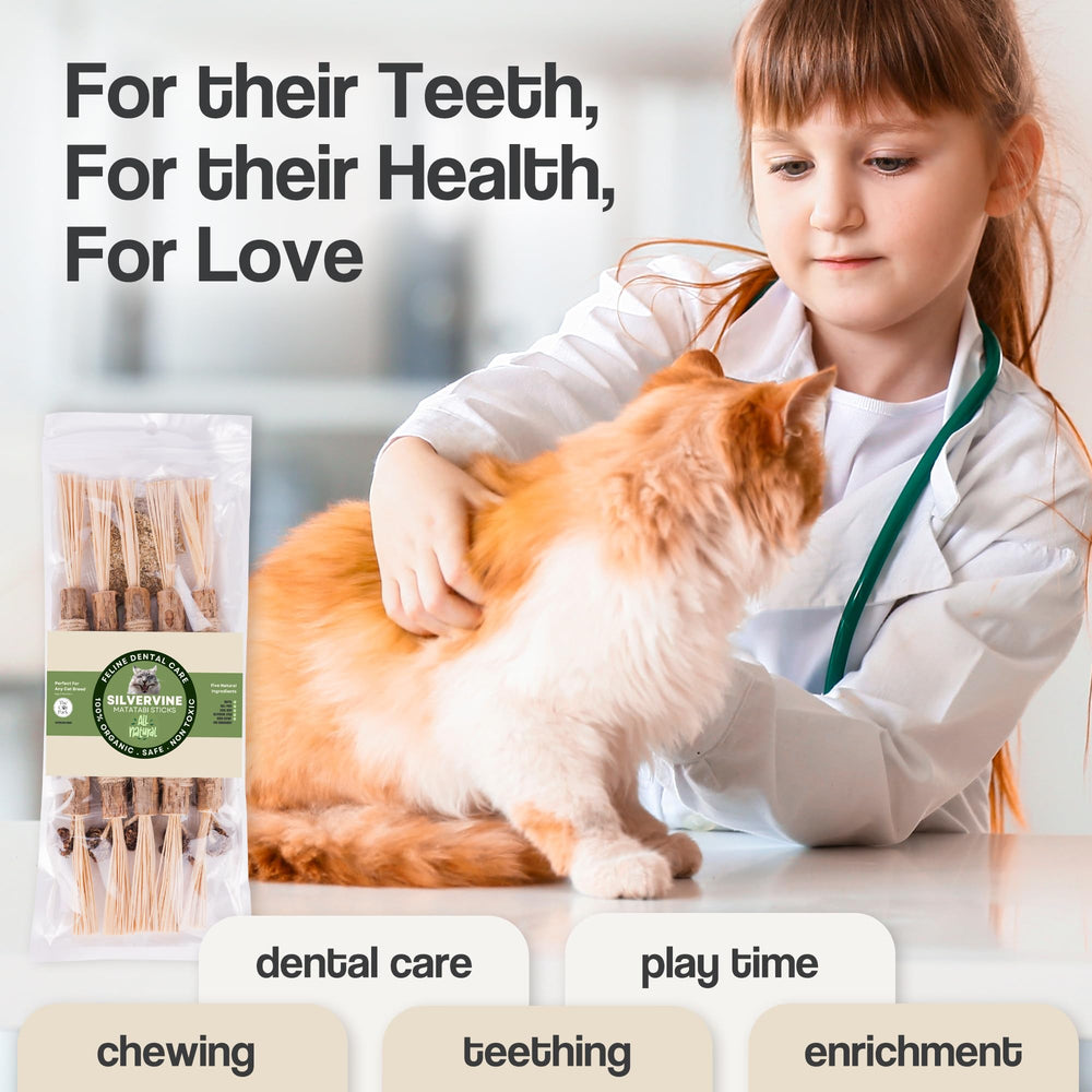 The Cat Park Silvervine Sticks digestion support for cats during daily routines.