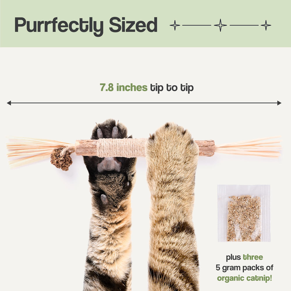 The Cat Park Silvervine Sticks relaxing aroma complements calm play sessions.