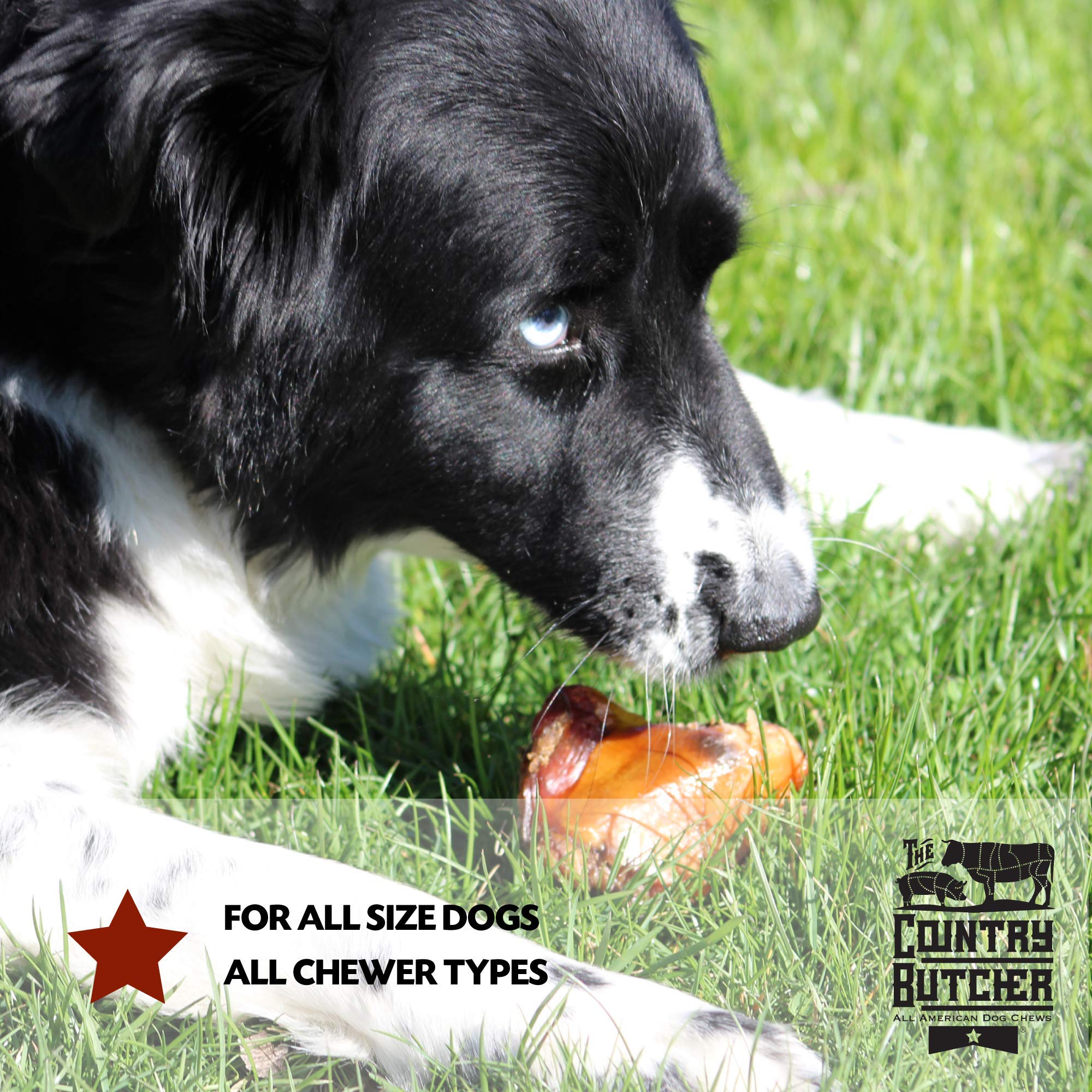 The Country Butcher made-in-usa dog chew image highlighting USA origin.