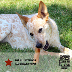 THE COUNTRY BUTCHER pork roll chew texture supports healthy teeth and gums.