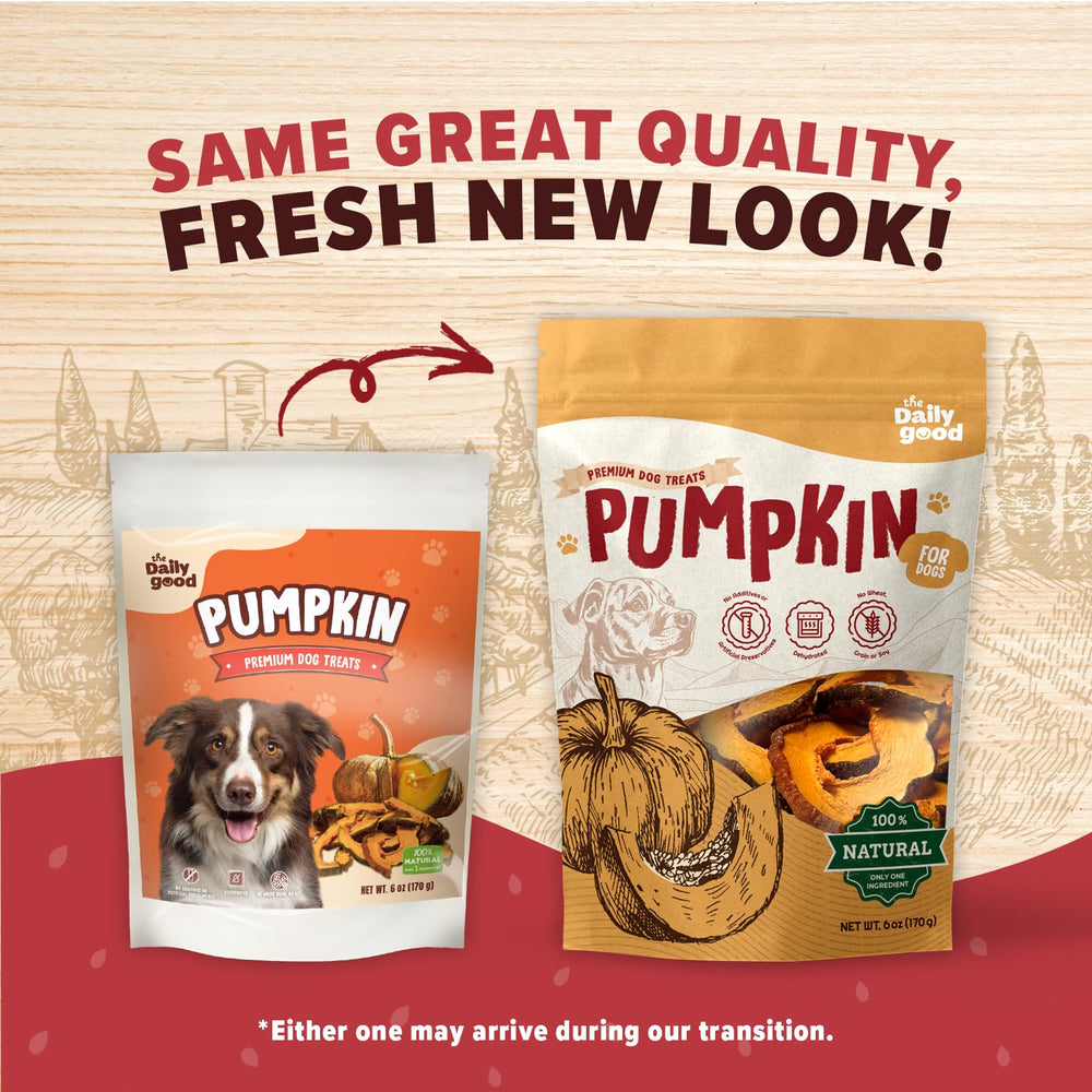 The Daily Good Pumpkin Chips crunchy bites for dogs promote enjoyable texture.