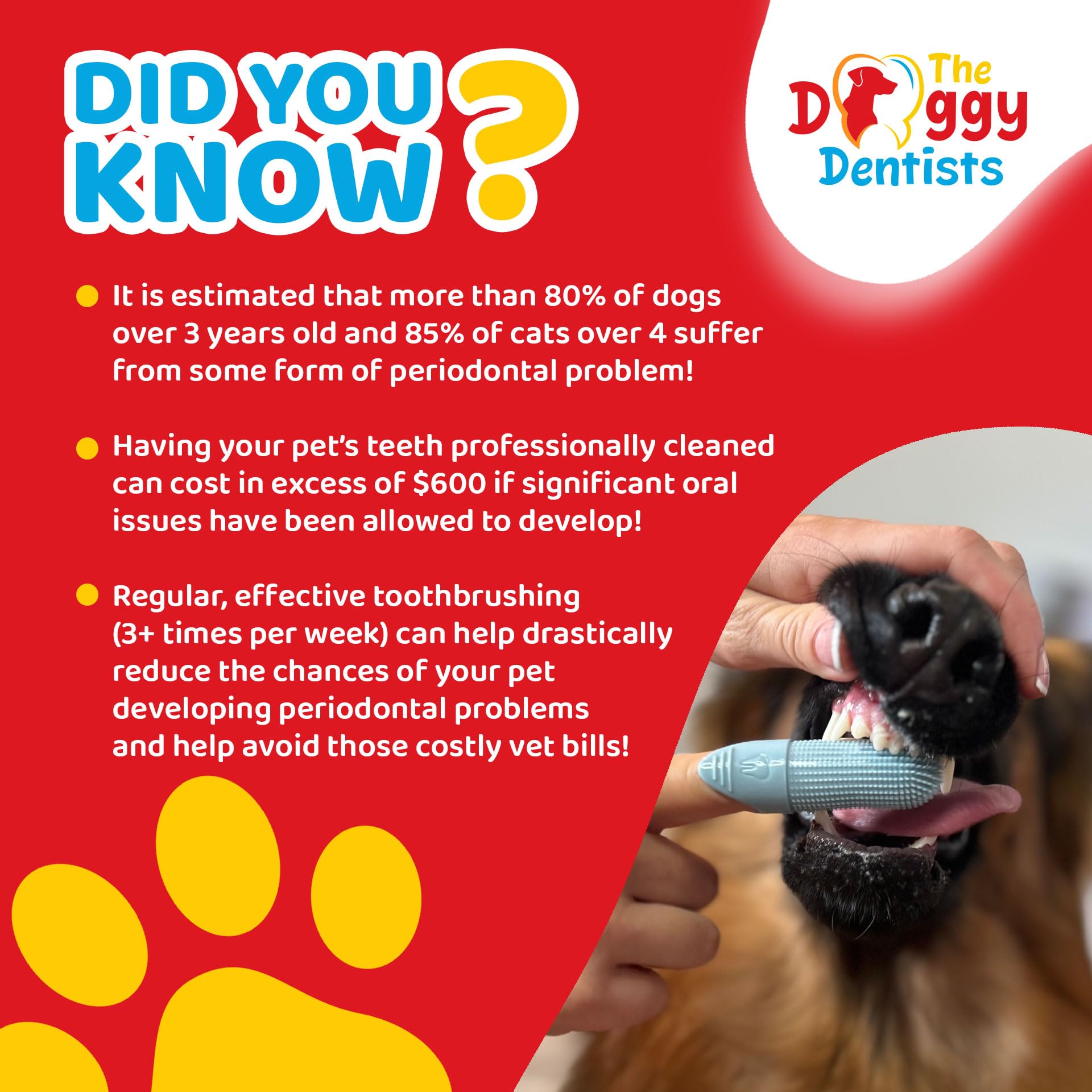The Doggy Dentists dental care for pets supports at-home routines and healthier smiles.