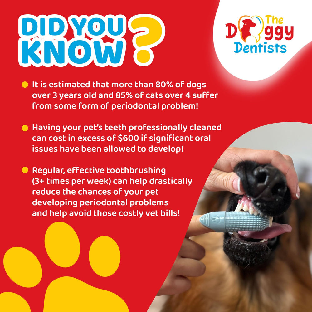 The Doggy Dentists dental care for pets supports at-home routines and healthier smiles.