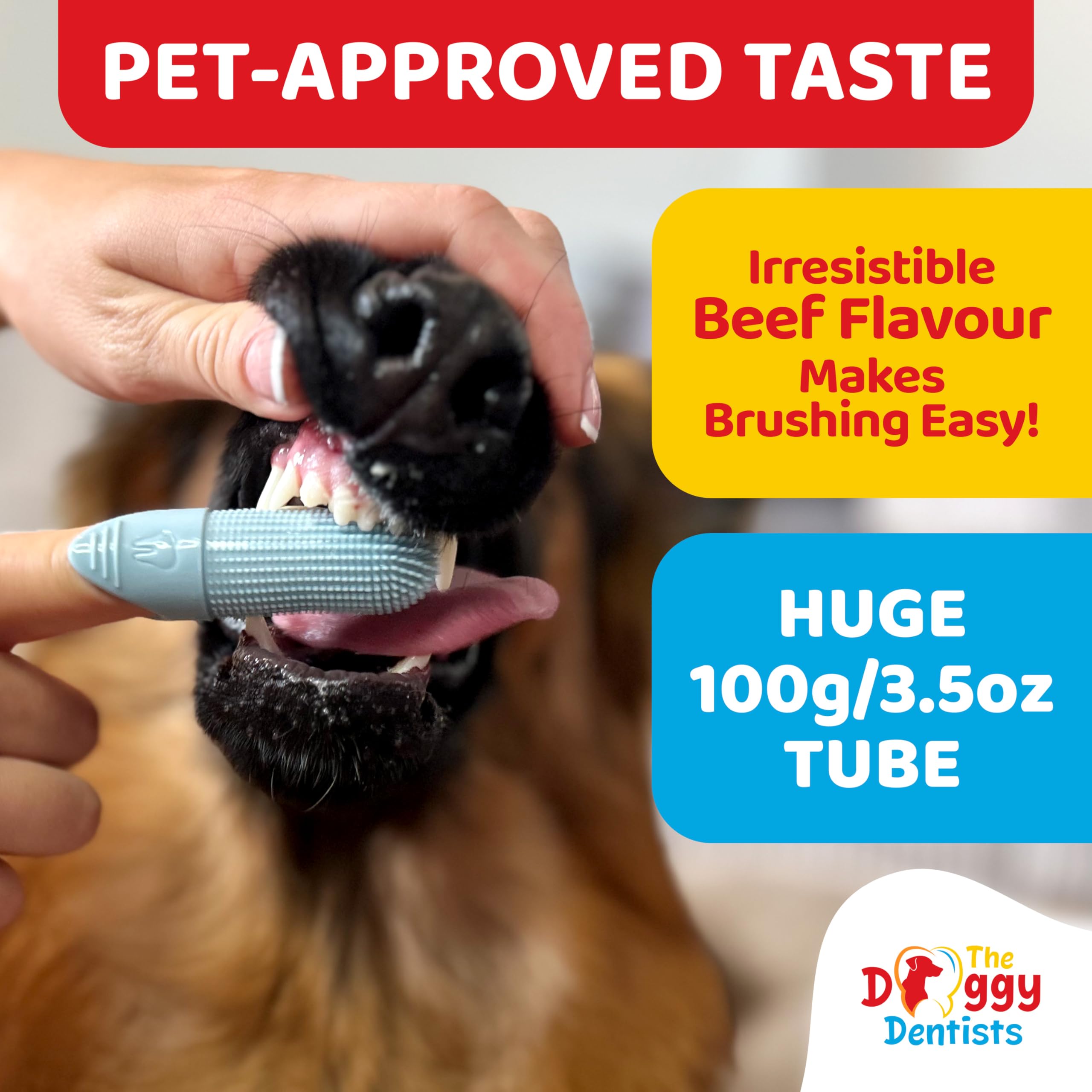 Happy dog brushing with beef-flavored toothpaste for at-home dental care.