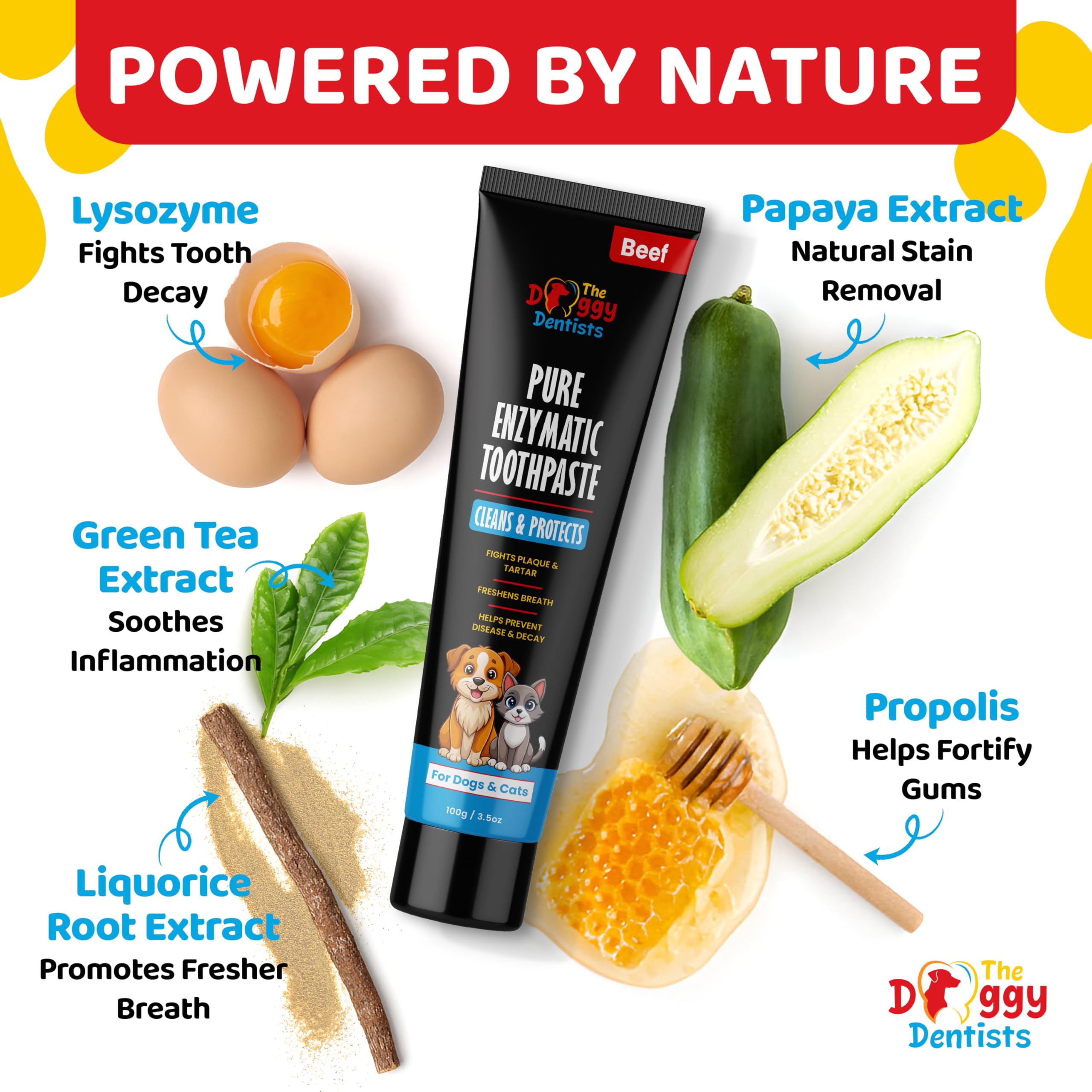 The Doggy Dentists papain lysozyme formula supports plaque breakdown during brushing.