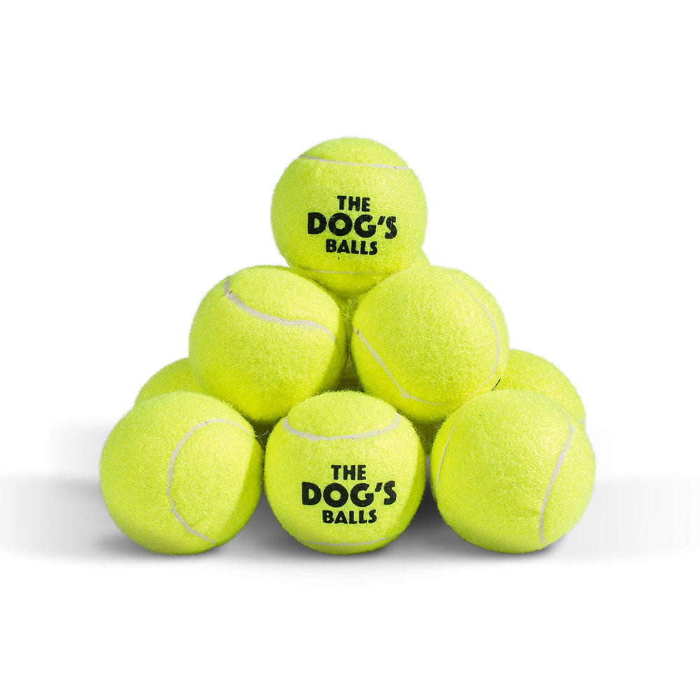 The Dog's Balls 2.5-inch diameter fits standard throw-and-retrieve routines.