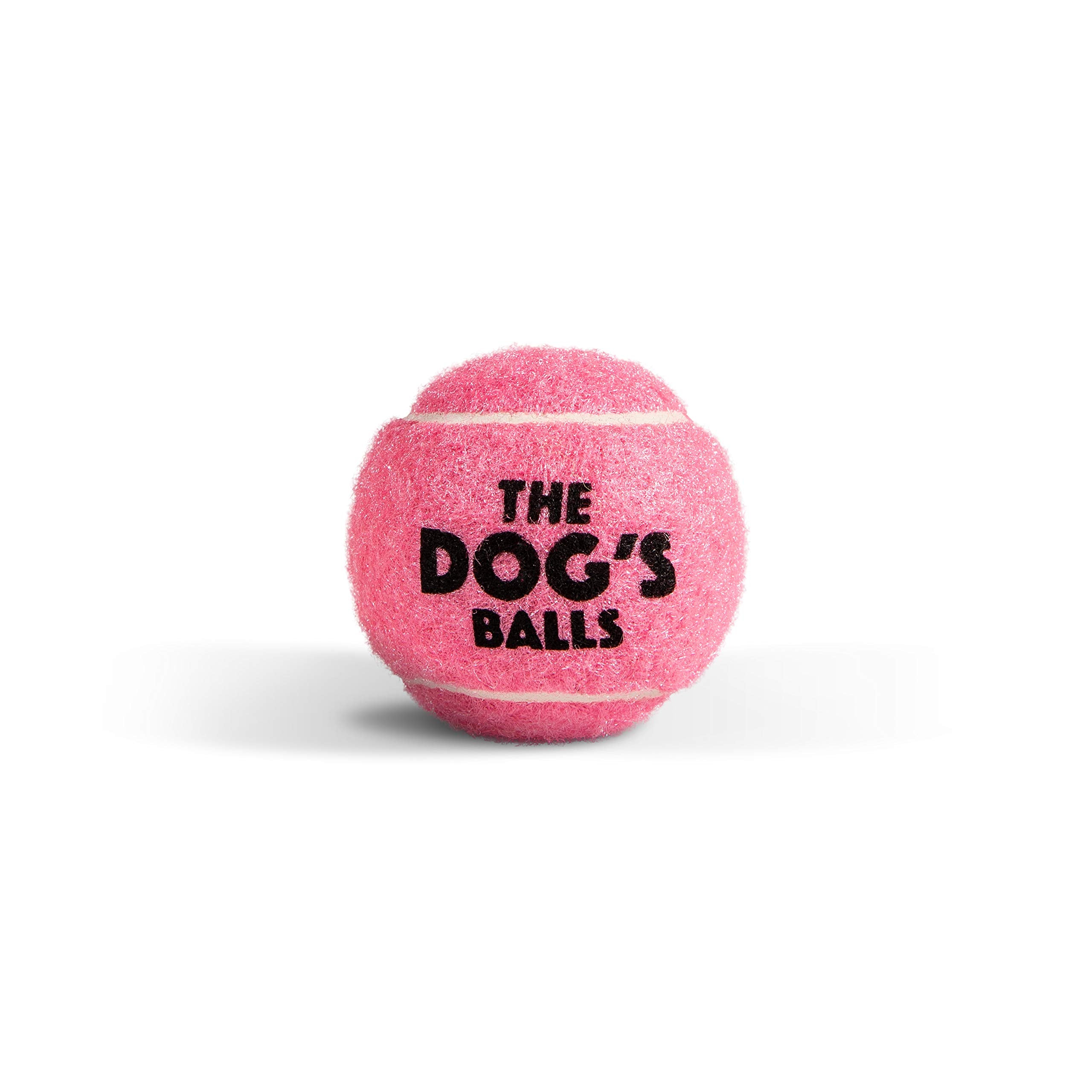 The Dog's Balls agility training setup—supports obedience and motor activity.