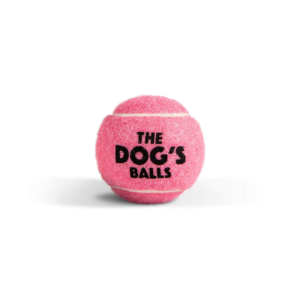 The Dog's Balls agility training setup—supports obedience and motor activity.