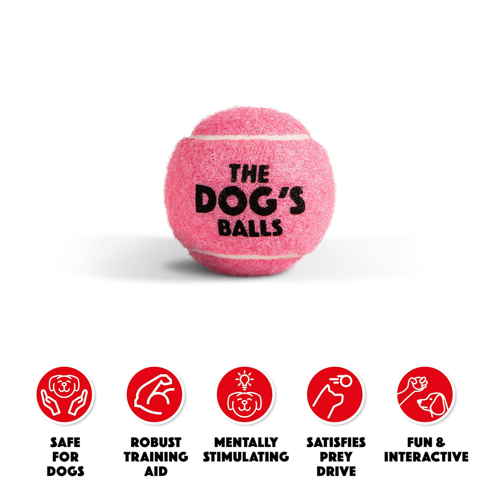The Dog's Balls pink dog tennis ball 6-pack closeup—high visibility for park fetch.