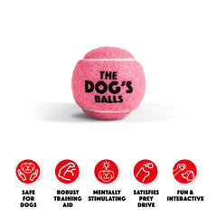 The Dog's Balls pink dog tennis ball 6-pack closeup—high visibility for park fetch.
