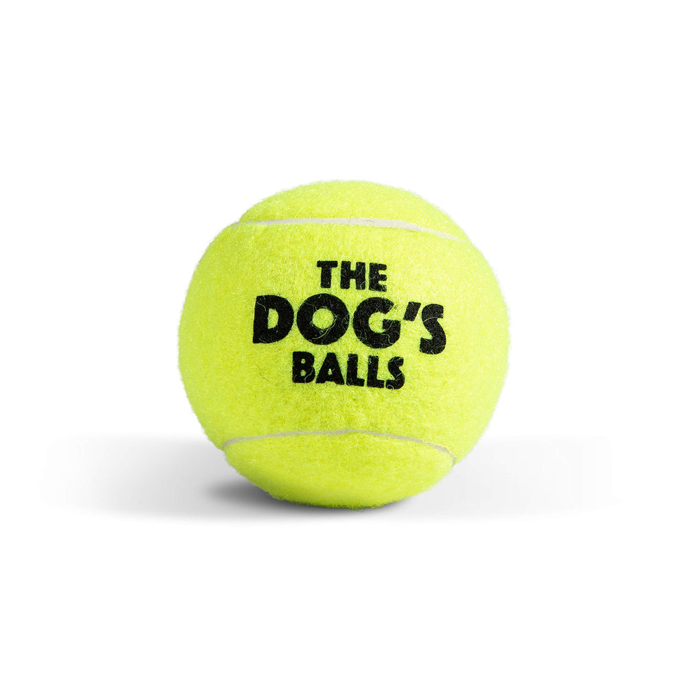 The Dog's Balls park and yard fetch ball is easy to locate during games.