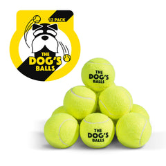 The Dog's Balls yellow tennis ball 12-pack for vibrant park fetch and easy visibility.