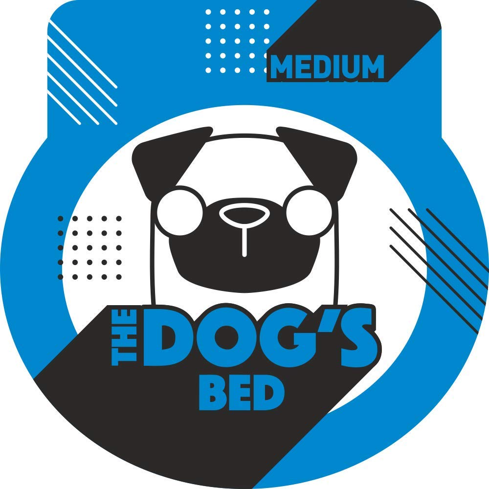 The Dog's Bed design fits with home décor while supporting mobility.