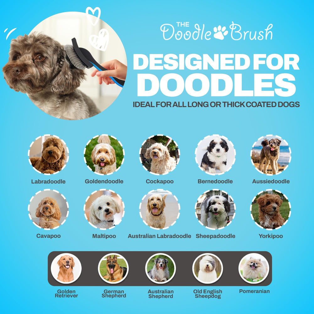 The Doodle Brush dog-grooming-session scene emphasizes bonding and relaxed brushing.