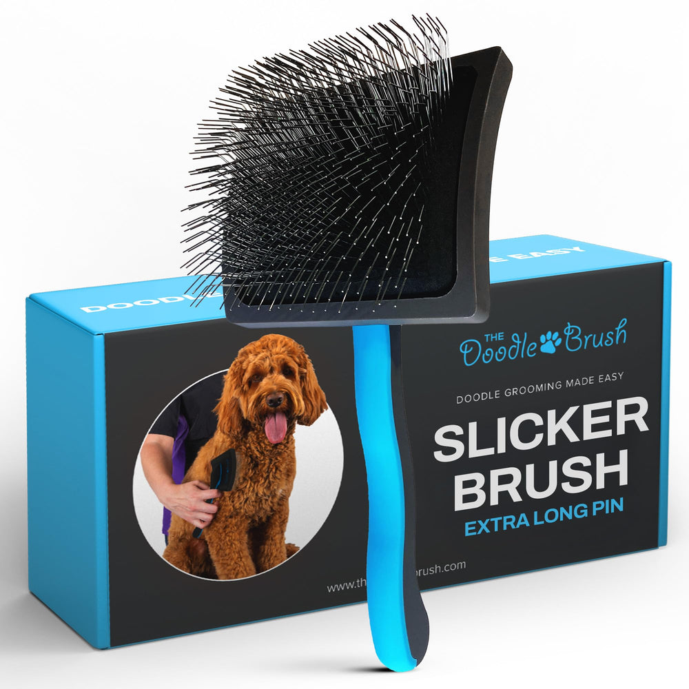 The Doodle Brush holiday-gift-packaging close-up suggests a thoughtful Christmas gift for dog lovers.