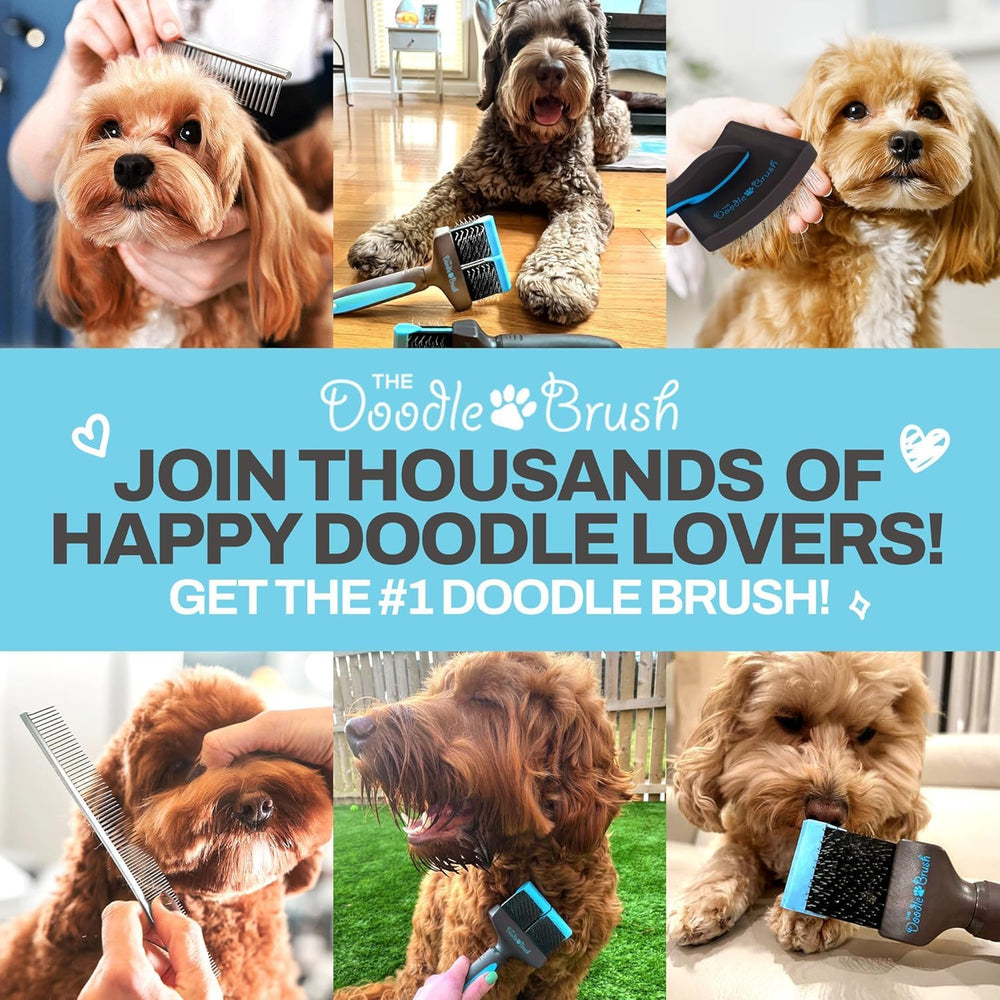The Doodle Brush in breed-focused shot suits poodles and doodles.