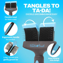 The Doodle Brush Slicker Brush coat-shine detail highlights healthy-looking fur.