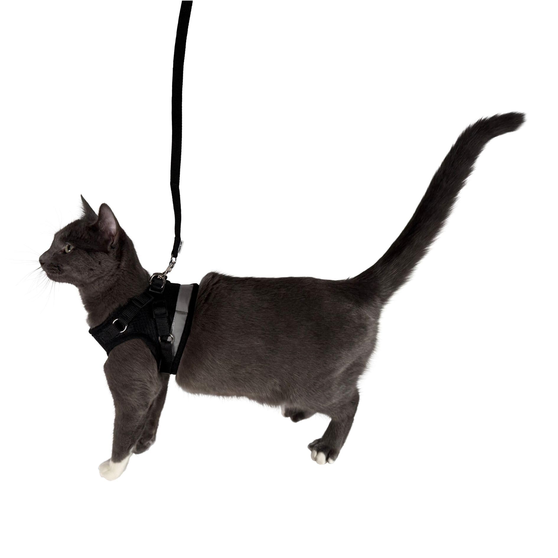 Sturdy metal snap clip on The Fat Cat leash ensures reliable attachment