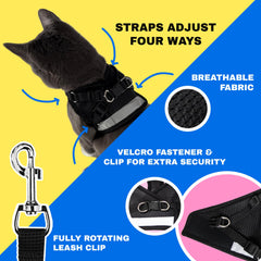 The Fat Cat 4-foot leash with 360-degree swivel clip for secure movement