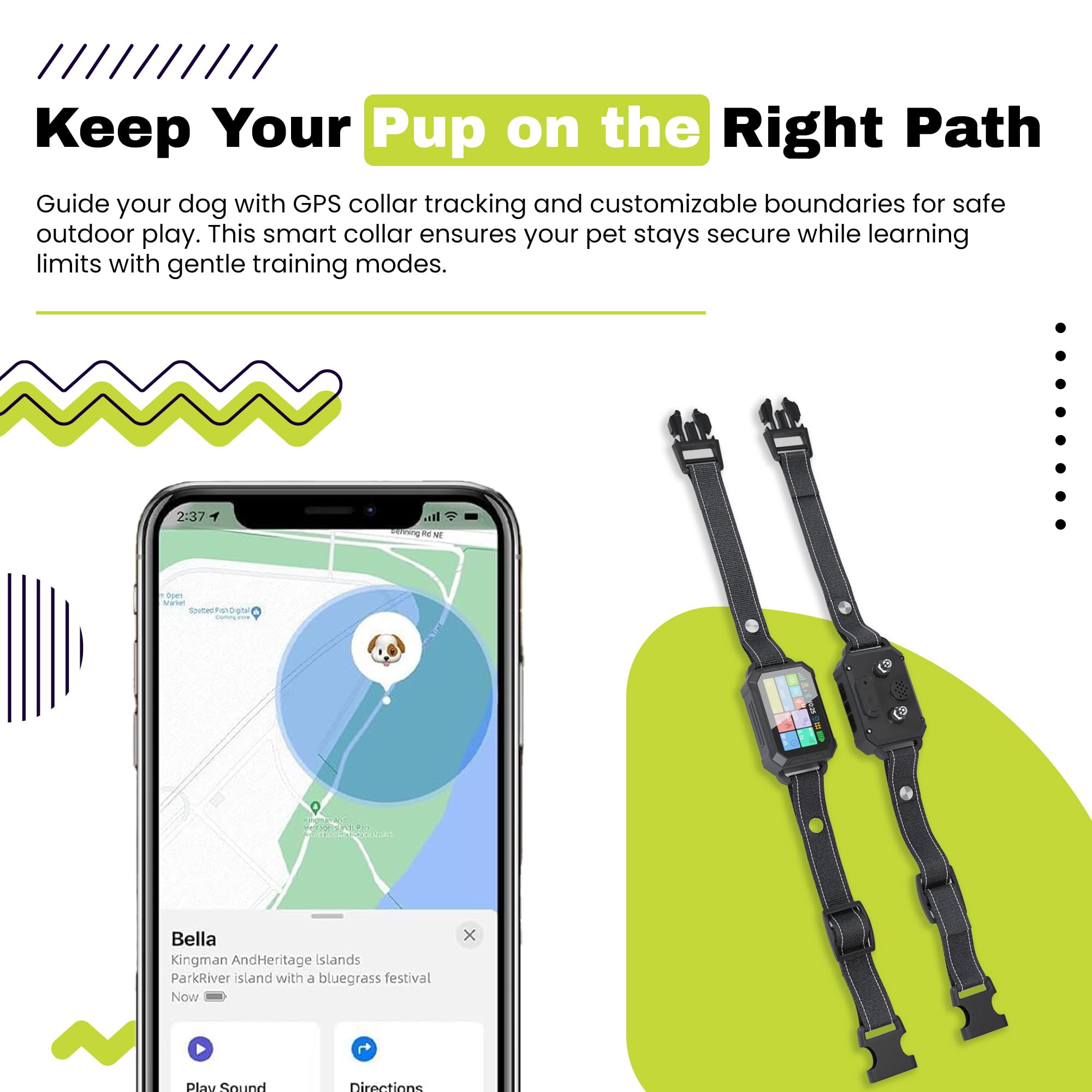 The Good pet company app controlled training modes demo shows vibration, sound, and static options.