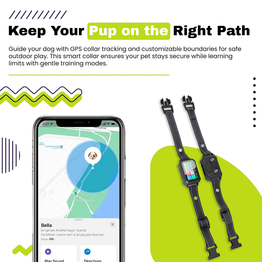 The Good pet company app controlled training modes demo shows vibration, sound, and static options.