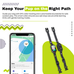 The Good pet company app controlled training modes demo shows vibration, sound, and static options.