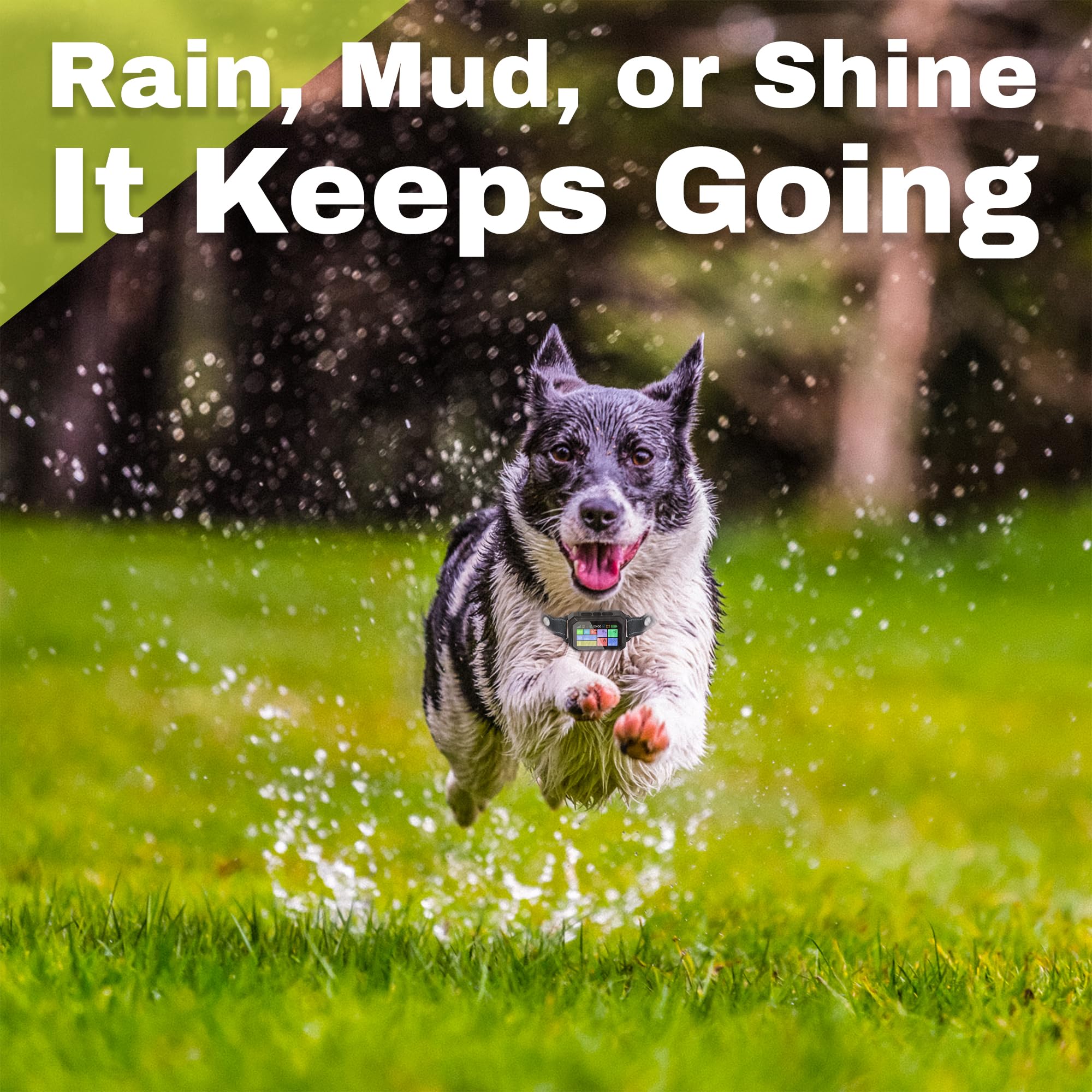 The Good pet company activity monitoring collar tracks steps and calories for healthier routines.