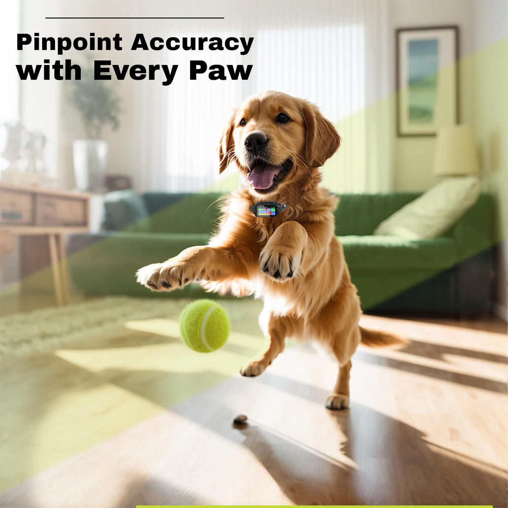 The Good pet company safe zone radius 6998 ft map demonstrates large flexible boundary planning.