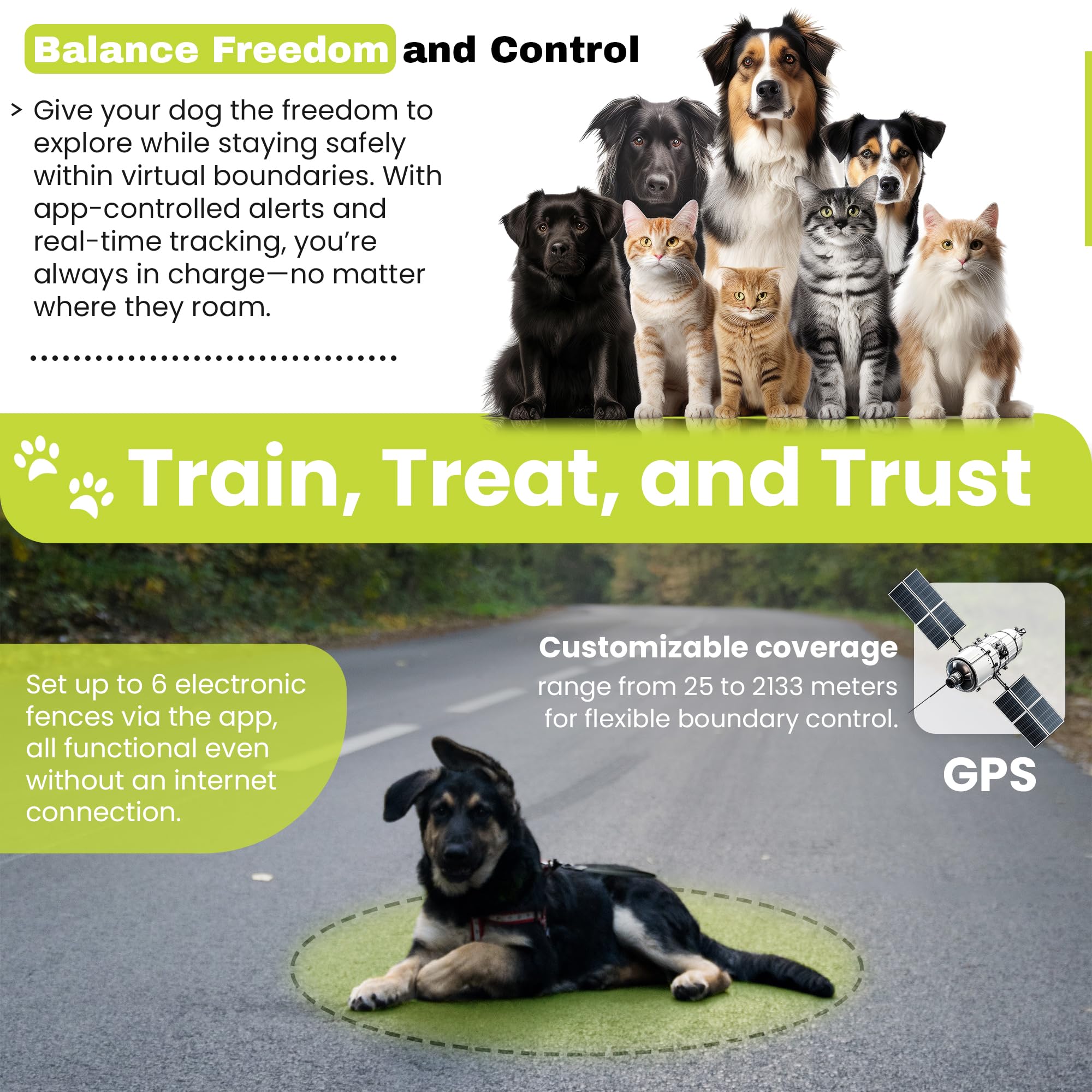 The Good pet company training pins visualize boundaries for clear, humane boundary learning.