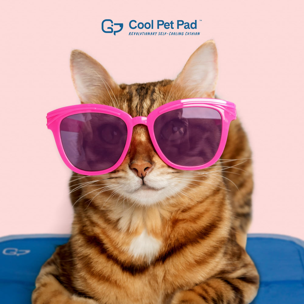 The Green Pet Shop Cool Pet Pad uses a non-toxic gel for safe cooling