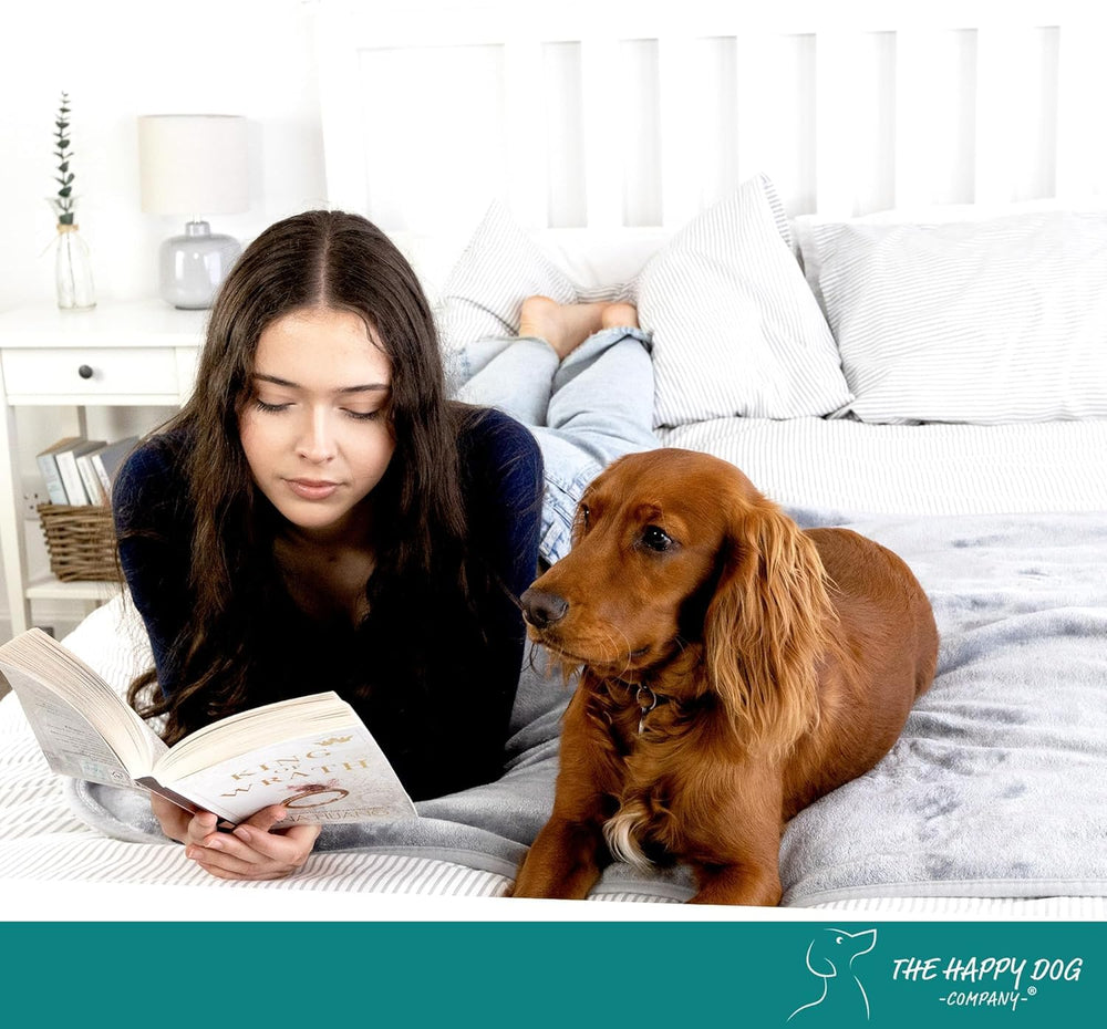 The Happy Dog Company acabado gris/blanco combina con cualquier espacio.