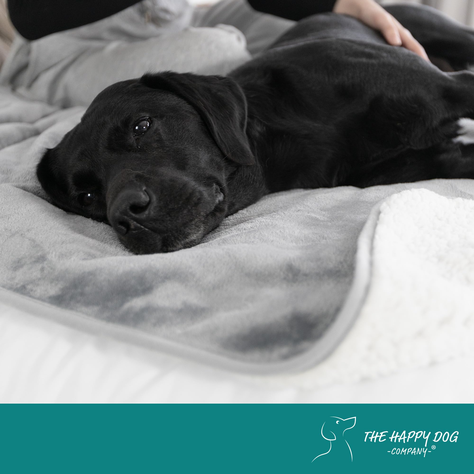 The Happy Dog Company manta impermeable para perros grandes ideal para casa.