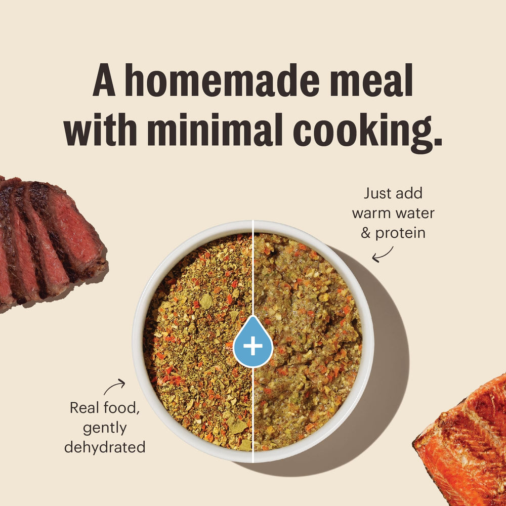 The Honest Kitchen fruit and veggie ingredients close-up emphasizes antioxidant-rich produce.