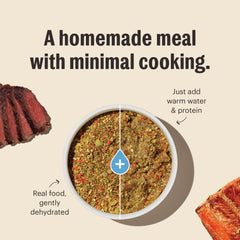 The Honest Kitchen fruit and veggie ingredients close-up emphasizes antioxidant-rich produce.