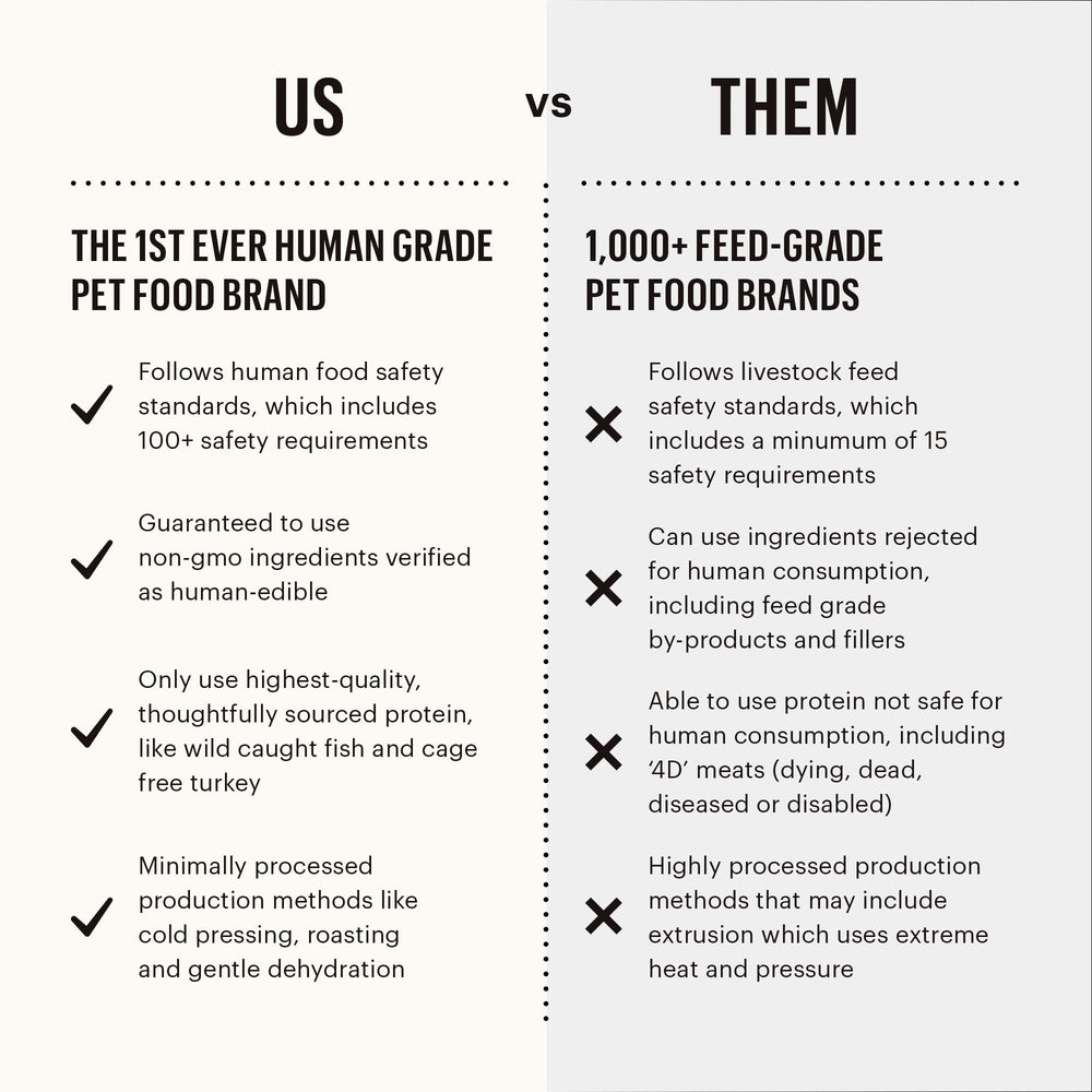 The Honest Kitchen Ocean Chews wolffish skins dog-chewing demonstrates extended chew time.