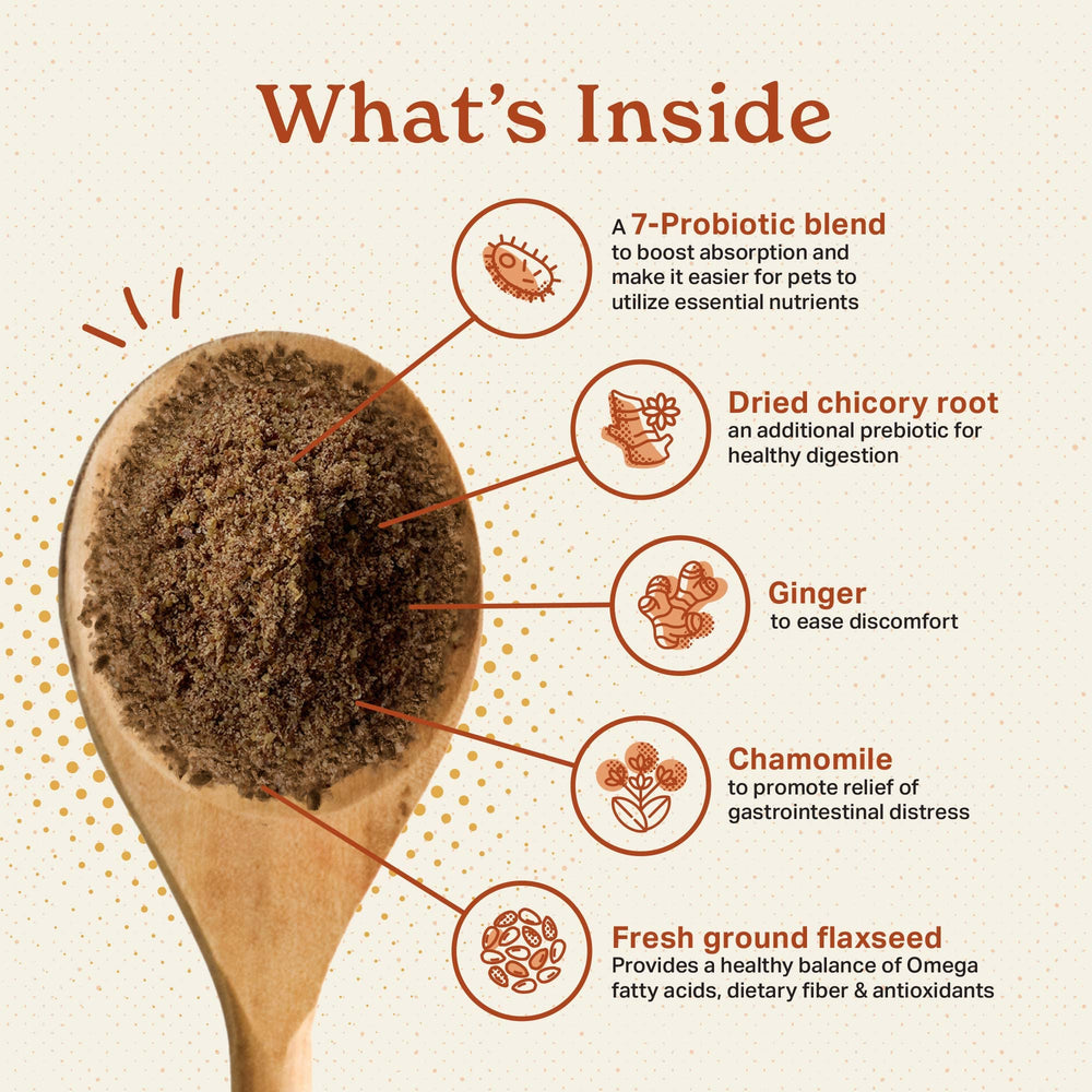 The Missing Link chicory root powder image highlights prebiotic fiber for healthy digestion.