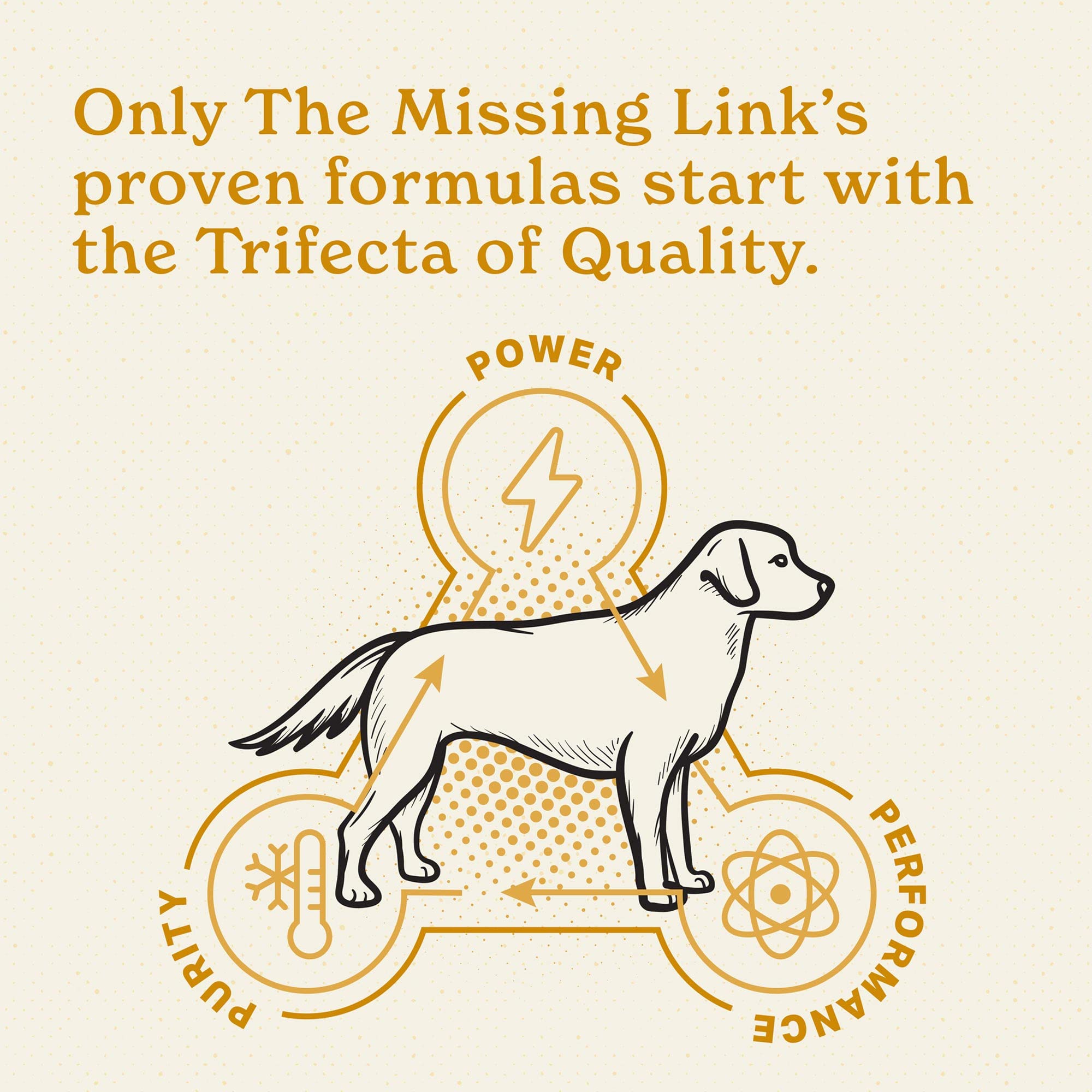 The Missing Link coat shine in a dog bowl illustrates the powder added to meals.