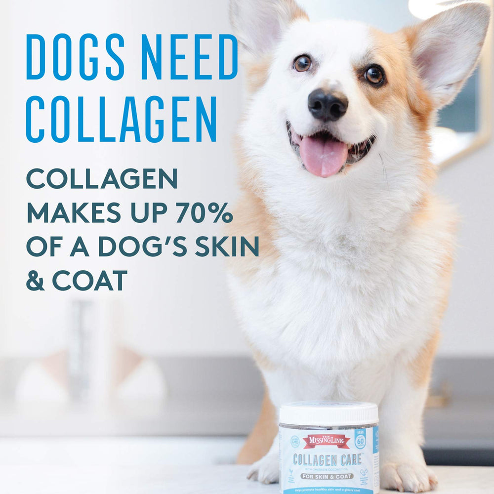 The Missing Link Collagen Care bottle label highlights natural ingredients and no artificial additives.