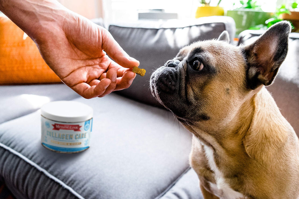 The Missing Link Collagen Care chew close-up emphasizes Omegas and coconut oil for coat moisture.