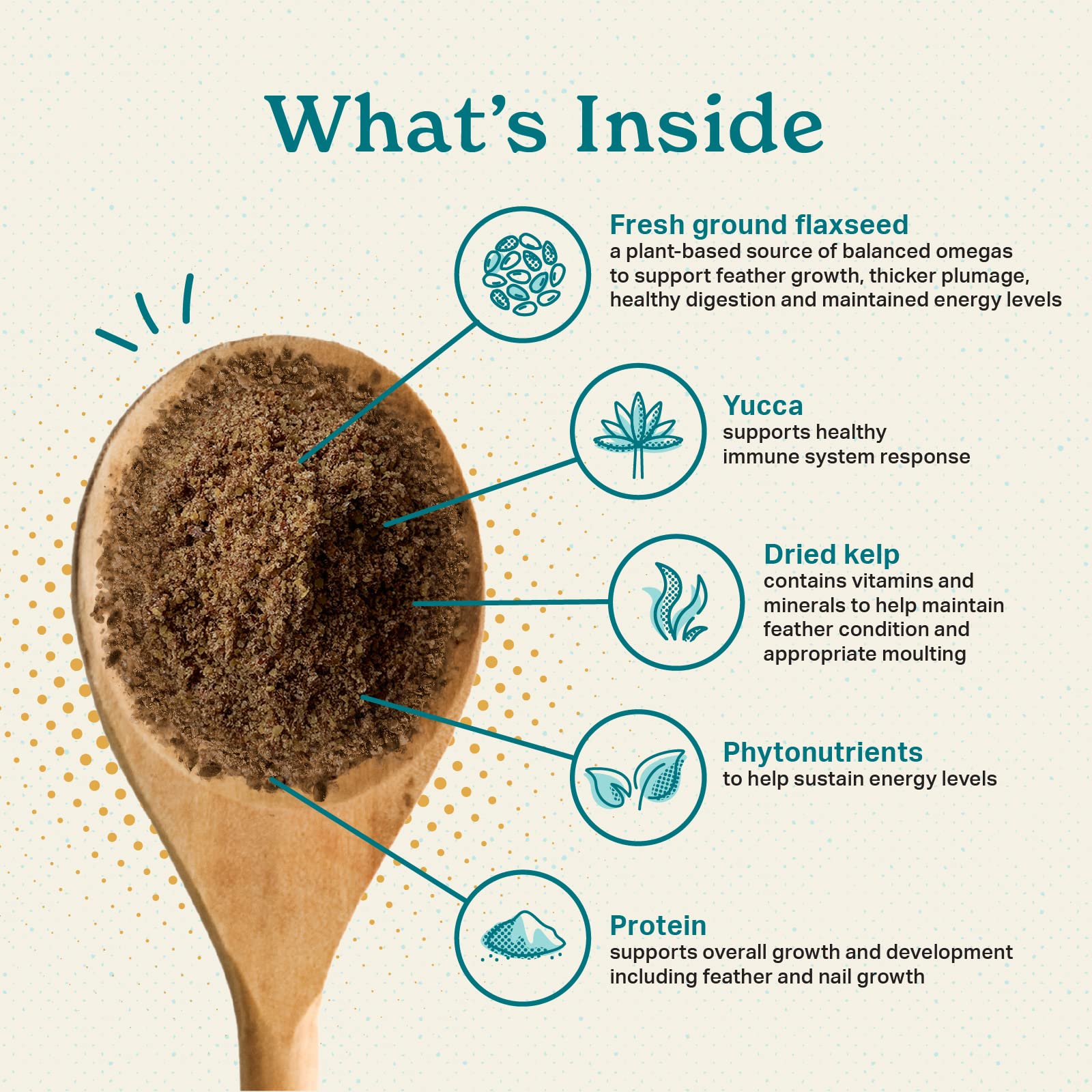 Indoor birds during feeding time featuring The Missing Link supplement