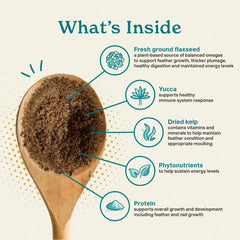 Indoor birds during feeding time featuring The Missing Link supplement