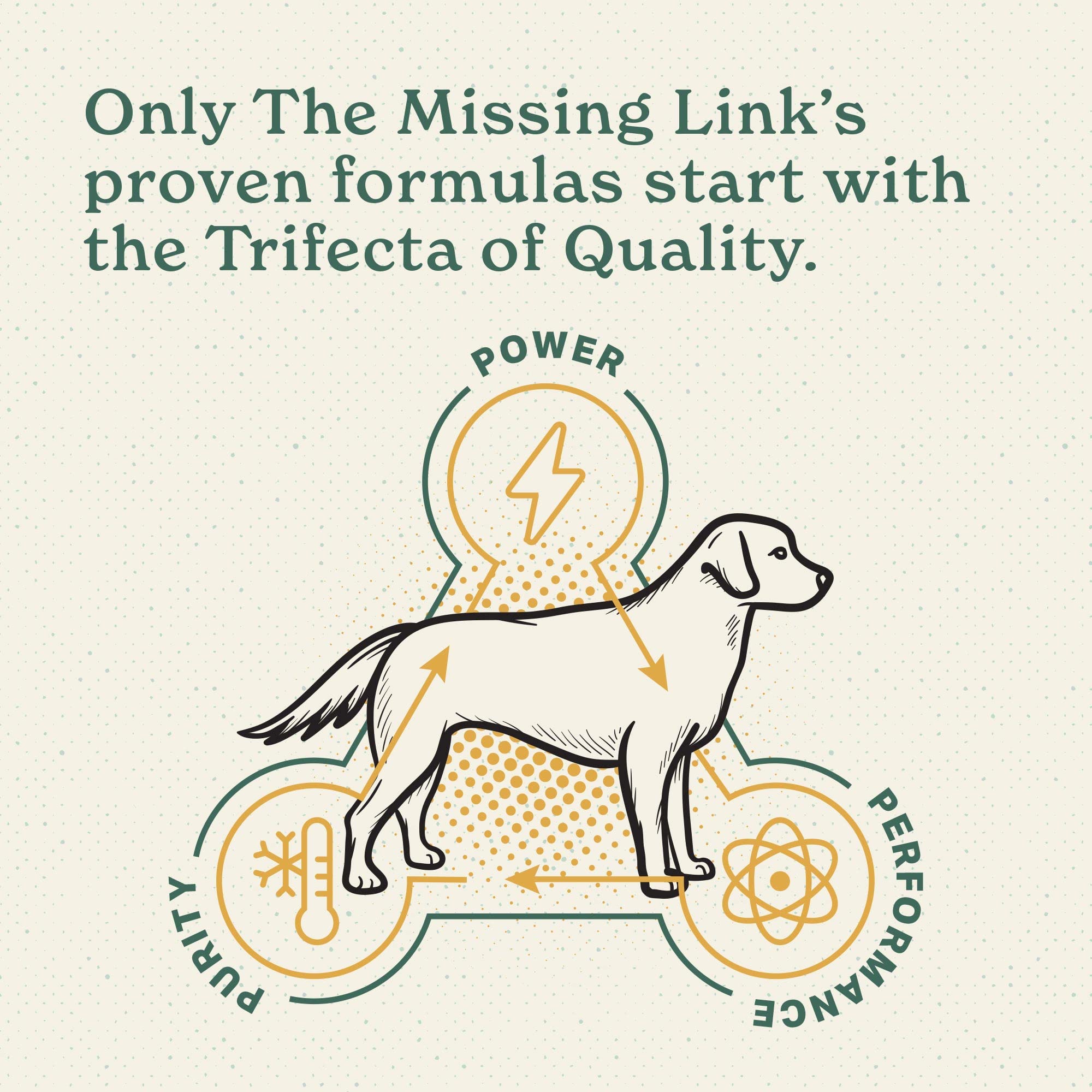 The Missing Link probiotic icon emphasizes absorption support from LactoSpore for dogs.