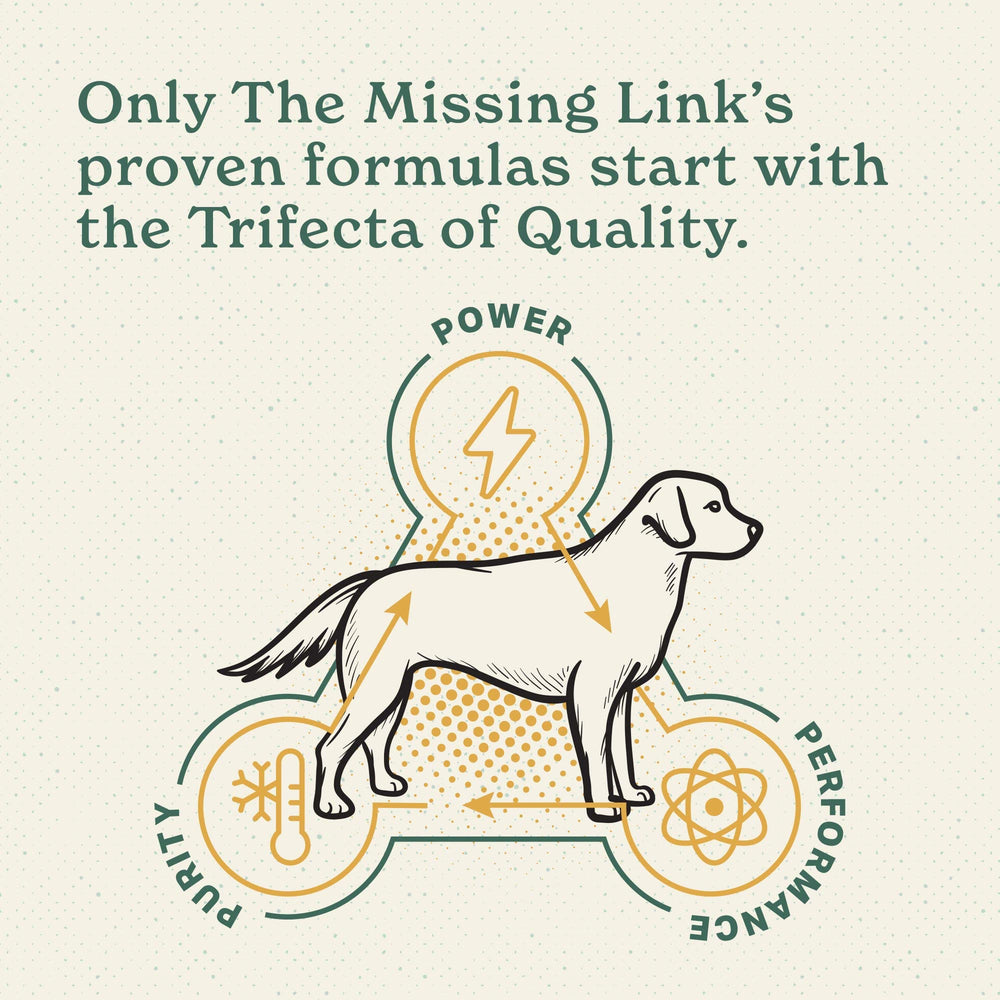 The Missing Link probiotic icon emphasizes absorption support from LactoSpore for dogs.