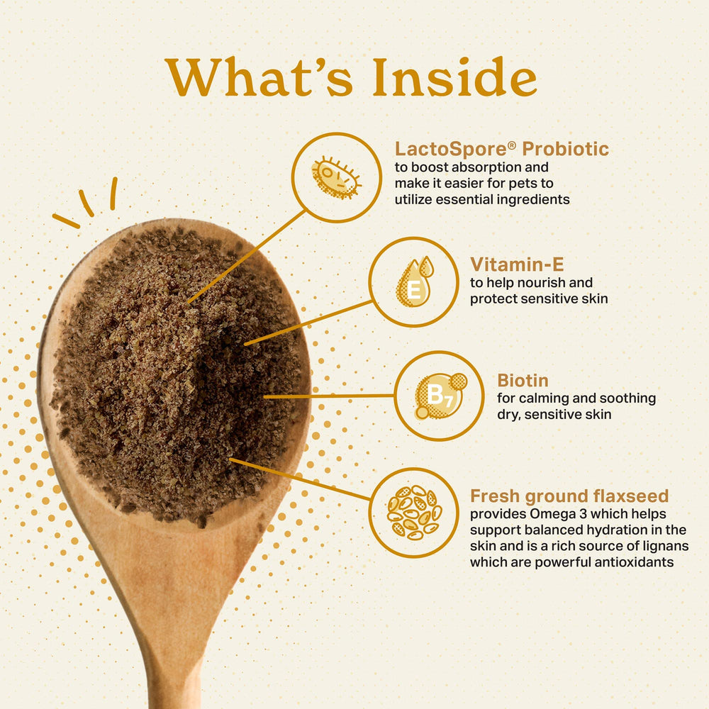 The Missing Link powder texture close-up reveals fine, palatable powder that blends easily.