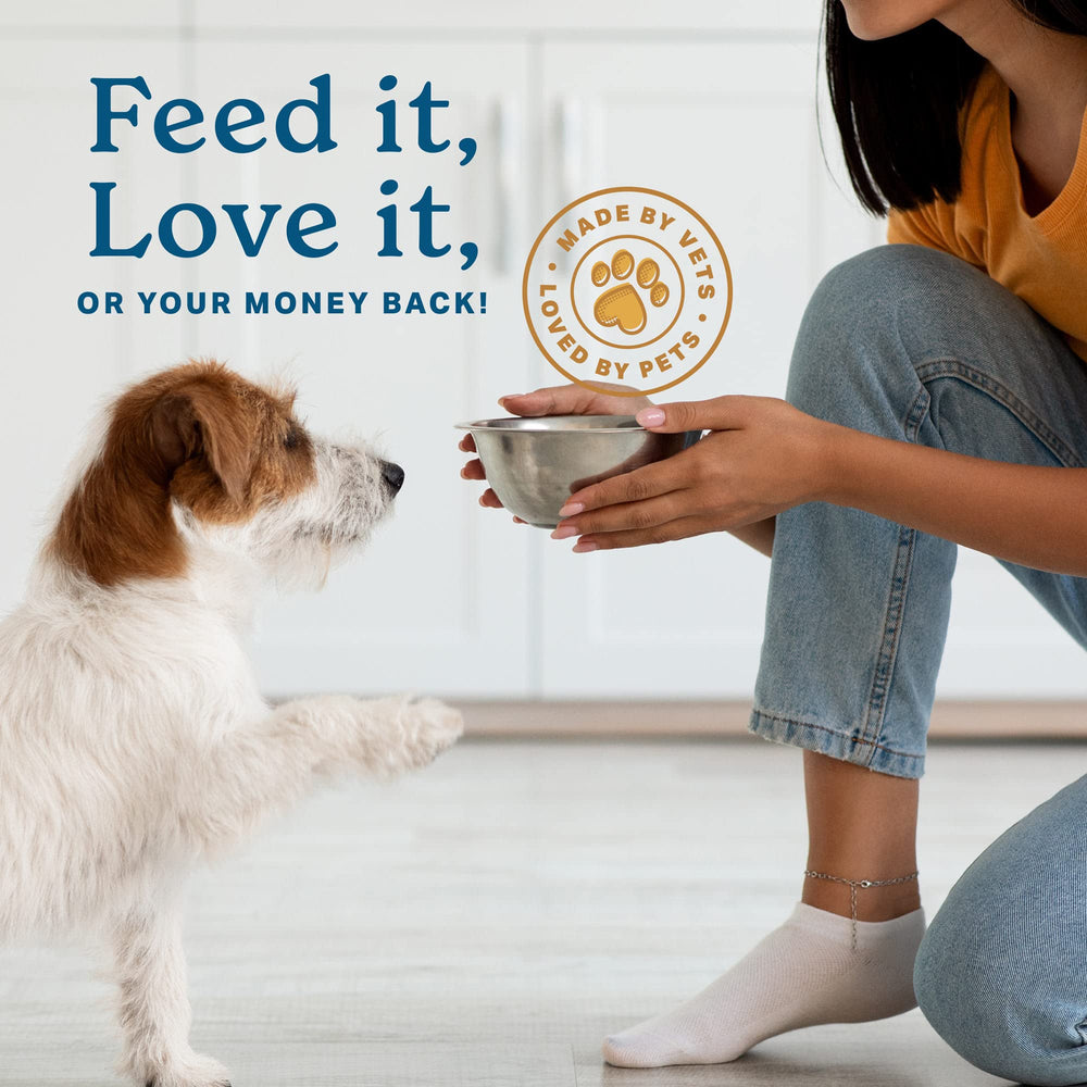 The Missing Link Puppy supplement powder texture shown as fine and blendable.