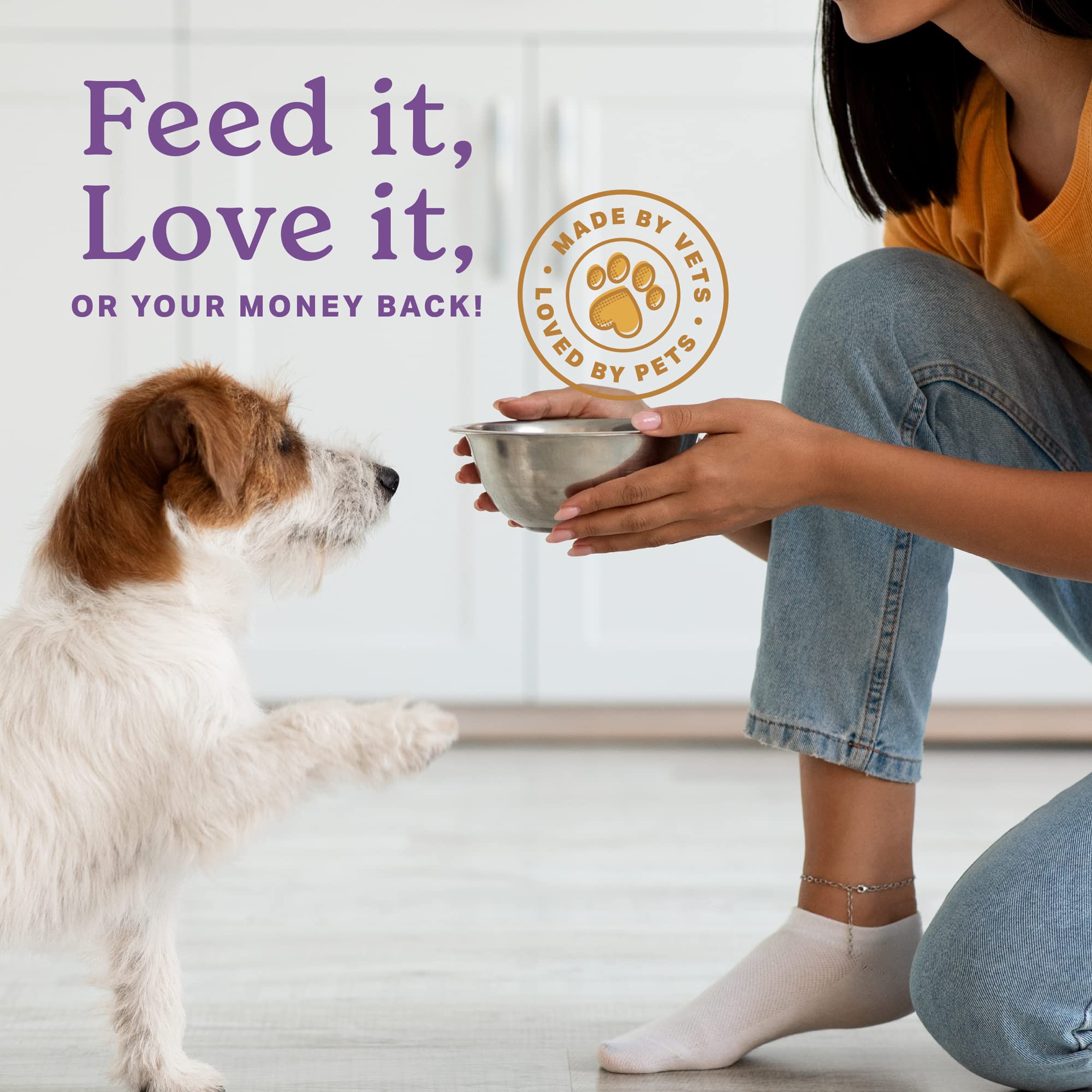 The Missing Link probiotics image signifies improved absorption and gut health support