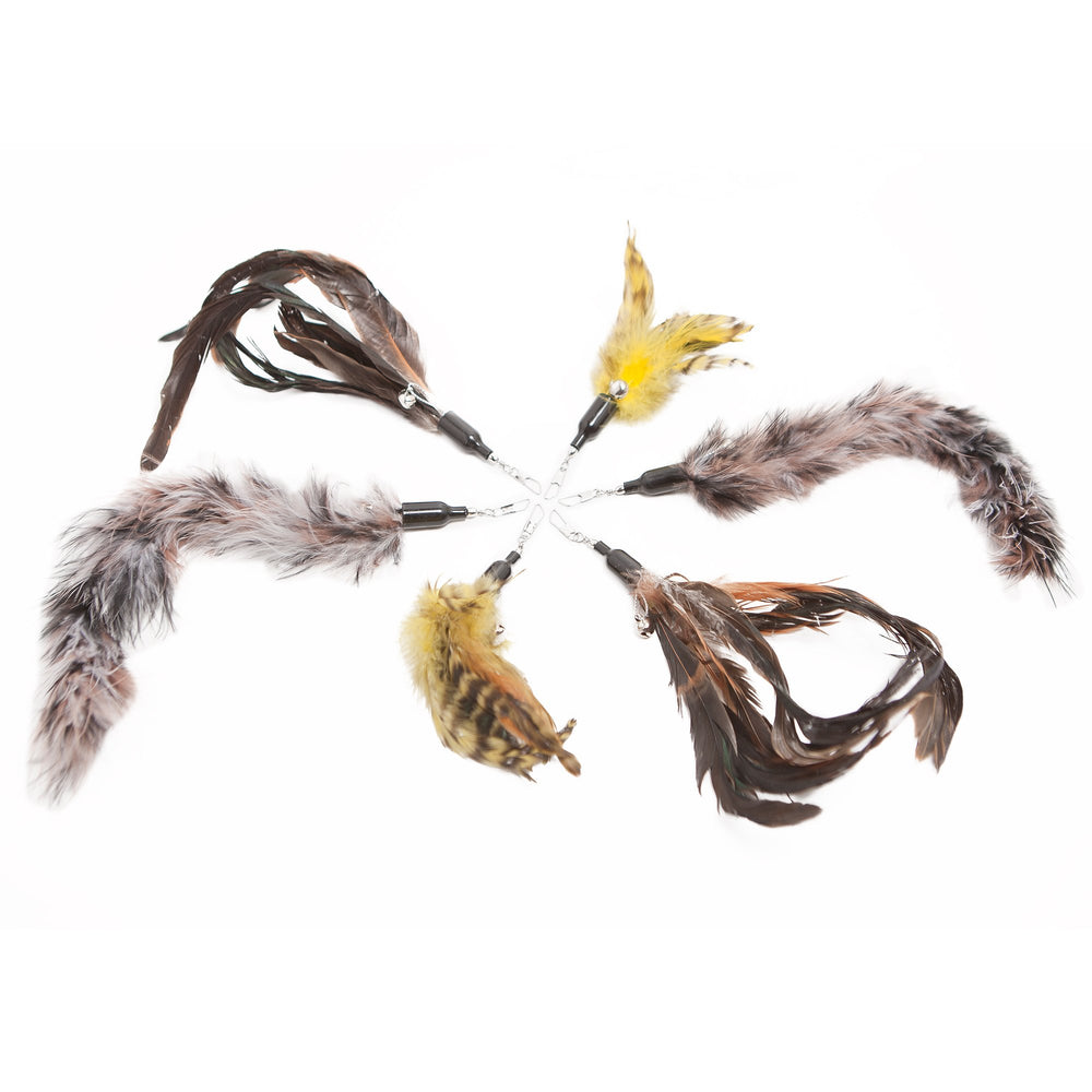 The Natural Pet Company feather refill 6pack adds variety to keep cats entertained and mentally stimulated.