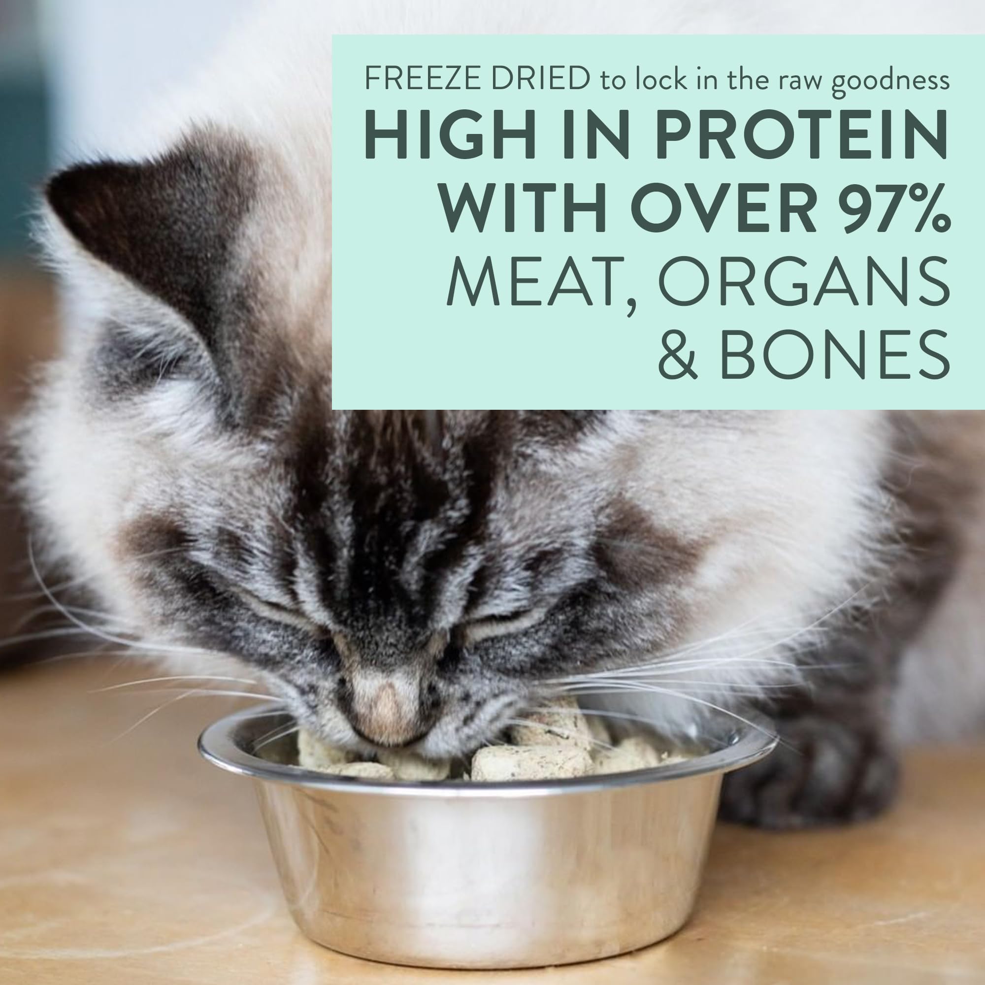 The New Zealand Natural Pet Food Co Meow Duck ingredient green mussel highlights natural superfoods.